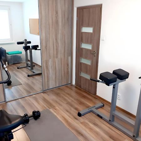 Stylovy Apartman V Samorine Εξωτερικό φωτογραφία